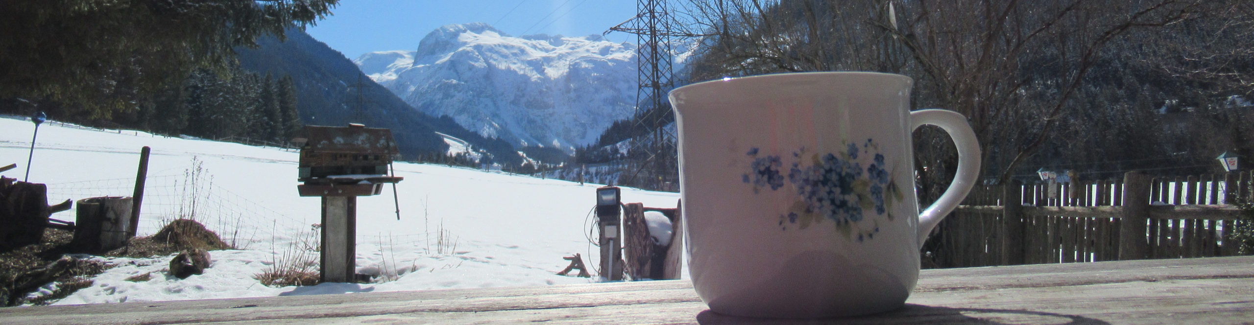 FLACHAU – SchneeSpaßTag mit günstigen Skipässen für Kinder- & Jugend 