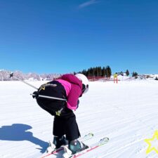 IMG_20250208_115406