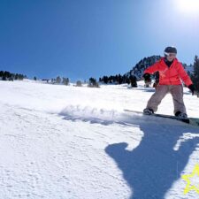 IMG_20250308_130136_1