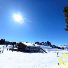 IMG_20250308_131021