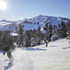 IMG_20260115_102100_1