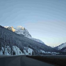 IMG_20260116_090421