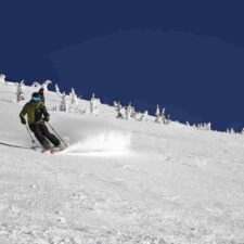 IMG_20260118_100713
