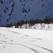 IMG_20260122_121501