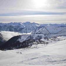 IMG_20260122_133249