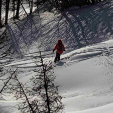 IMG_20260122_133541