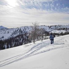 IMG_20260122_134251
