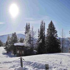 IMG_20260123_124001