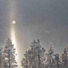 IMG_20260123_161033