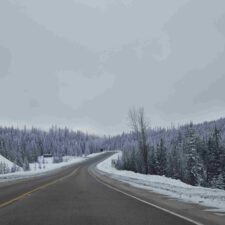 IMG_20260124_095942