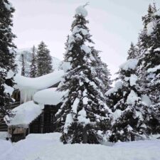 IMG_20260124_104617