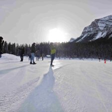IMG_20260124_105144