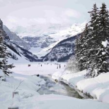 IMG_20260124_113520